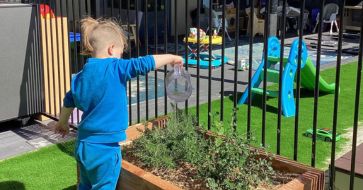 Policies and procedures