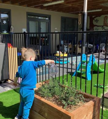 Child watering plants at Little Stars kindergarten and long day care in Avondale Heights